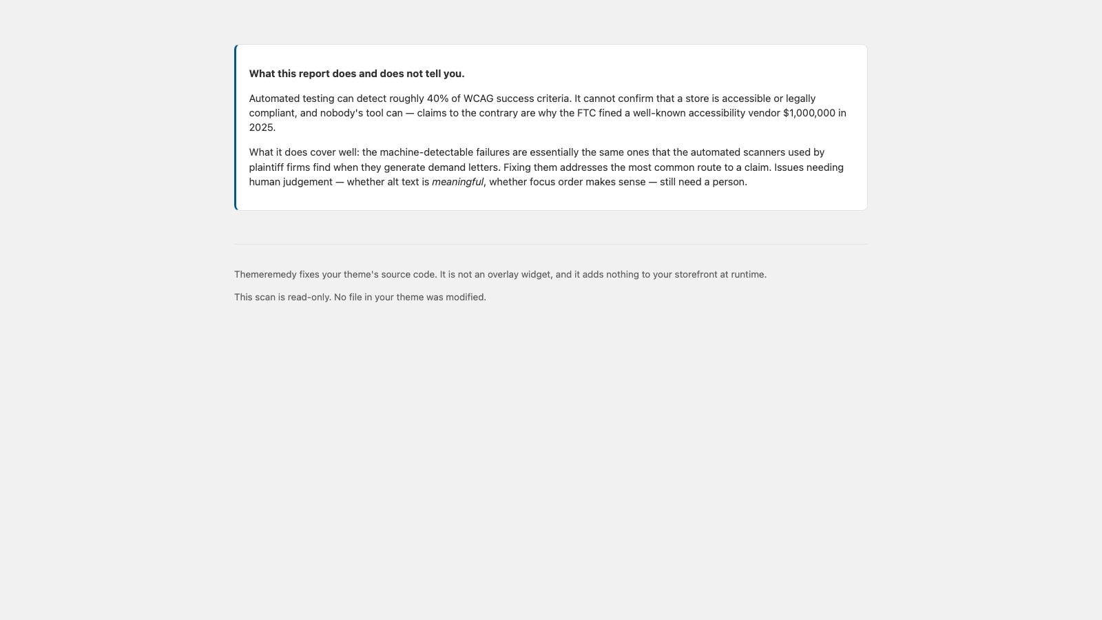 A panel headed 'What this does and does not tell you', listing the categories of accessibility problem the automated scan cannot detect.
